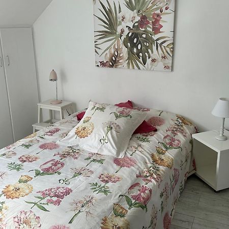 Le Cocon Rouge - Studio En Plein Centre Historique ล็องบาล ภายนอก รูปภาพ